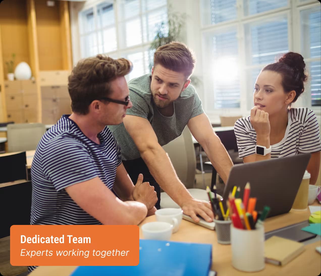 Intelivita web developers and designers collaborating on a client project